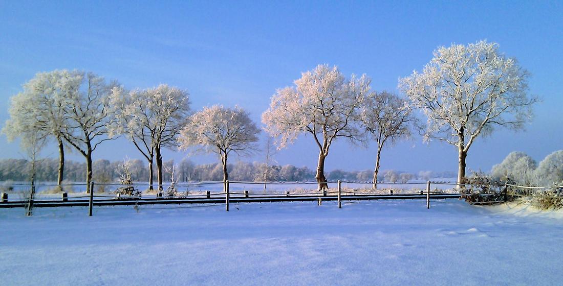 Winterlanschaft (Joachim Delfs)