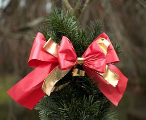 Tannenzweig mit Schleife (privat)